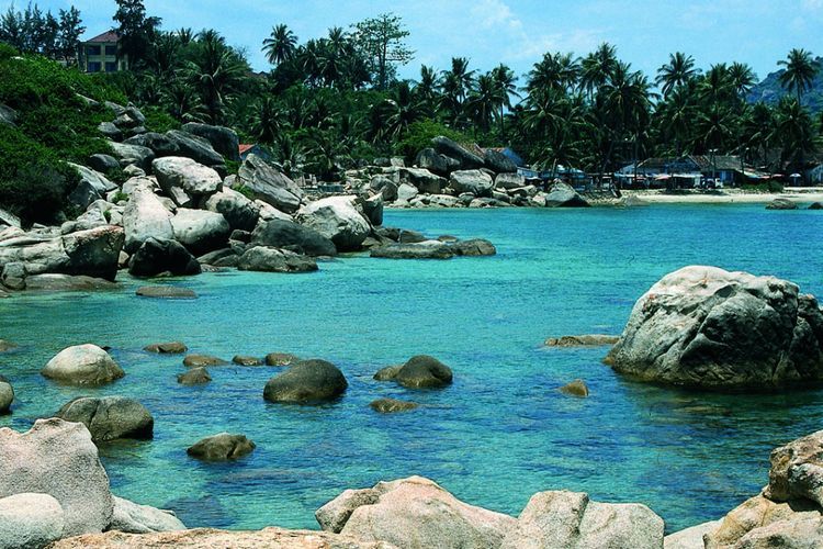 Selamatkan Terumbu Karang, Vietnam Larang Wisatawan Berenang di Wilayah Teluk Nha Trang