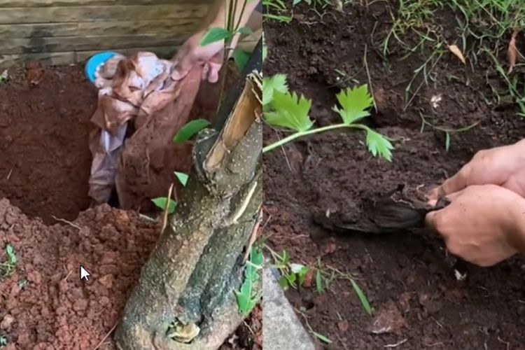 Penampakan Kain Kafan Berisi Tulang di Rumah Indadari yang Digunakan untuk Santet, Seram!