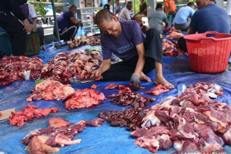 Panitia Kurban Haram Makan Daging Kurban Masak yang Baru Selesai Dipotong, Kata UAS