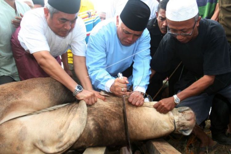 Petugas Kurban, Catat Niat dan Bacaan Sebelum Menyembelih Hewan Kurban, Biar Nggak Salah