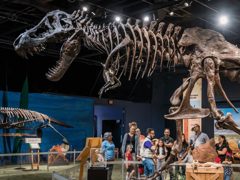 Mengungkap Kenapa Fosil Dinosaurus Banyak Ditemukan Sementara Fosil Manusia Langka?