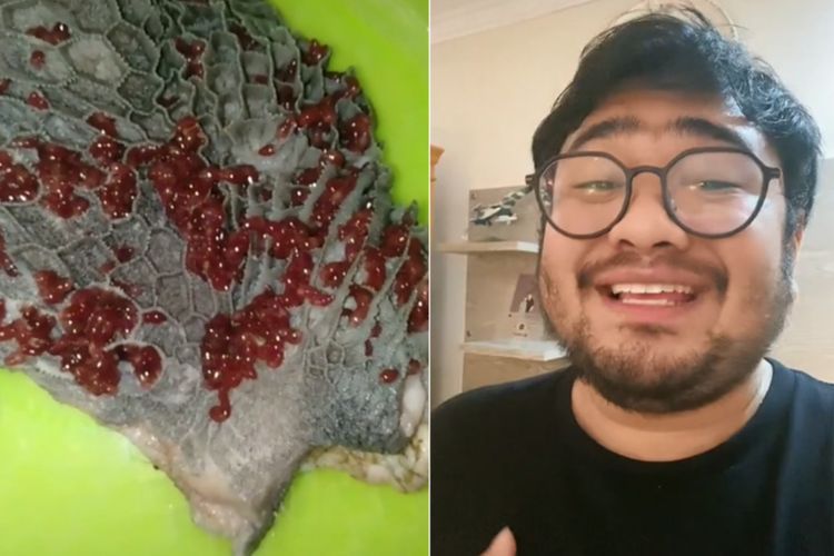 Jijik Babat Sapi Digerogoti Parasit, Chef Nausa Bilang Aman, Ini Tips Menghilangkannya