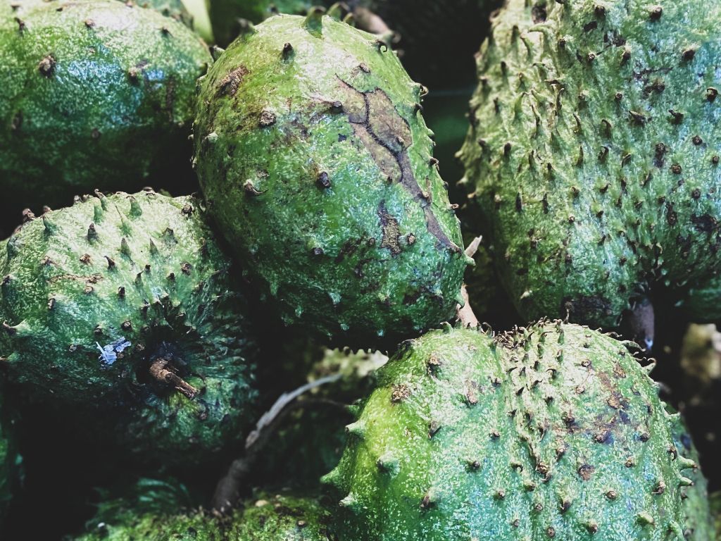 Manfaat Buah Sirsak yang Baik untuk Kesehatan Tubuh, Kamu Harus Tahu!