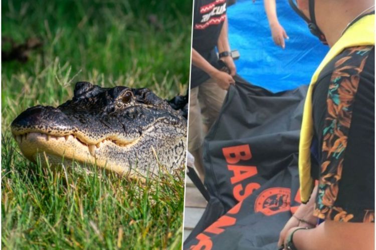 Ngeri! Jatuh ke Sungai, Jasad Pria di Kalimantan Ternyata Ditemukan Dalam Perut Buaya