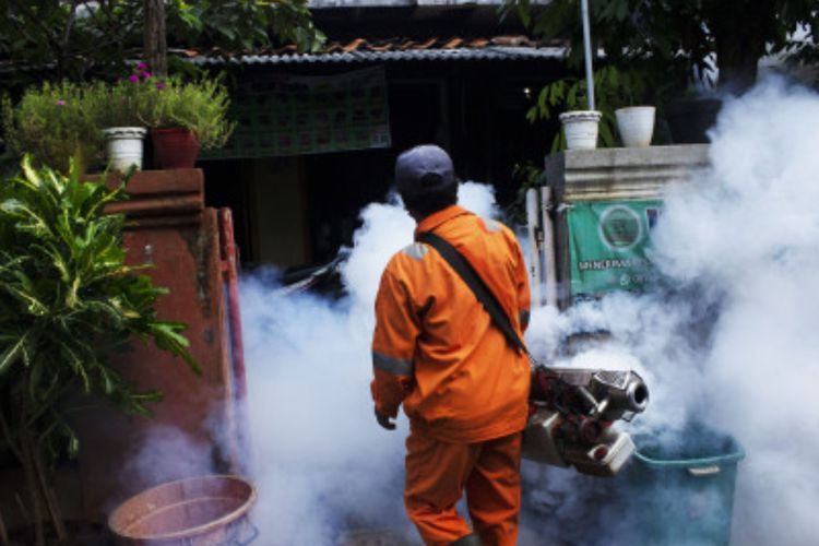 Seperti COVID-19, Pasien DBD dengan Komorbid Juga Wajib Rawat Inap, Ini Alasannya!