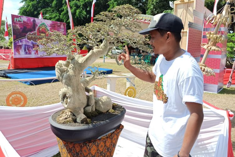Gempar Bonsai Ingin Ditukar Honda Jazz Terbaru, Pemiliknya Menolak! Kenapa?