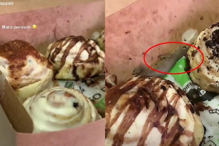 Beli Cinnamon Rolls via Online, Cewek Ini Syok Dapat 'Bonus' Cicak, Baru Sadar Pas Dimakan