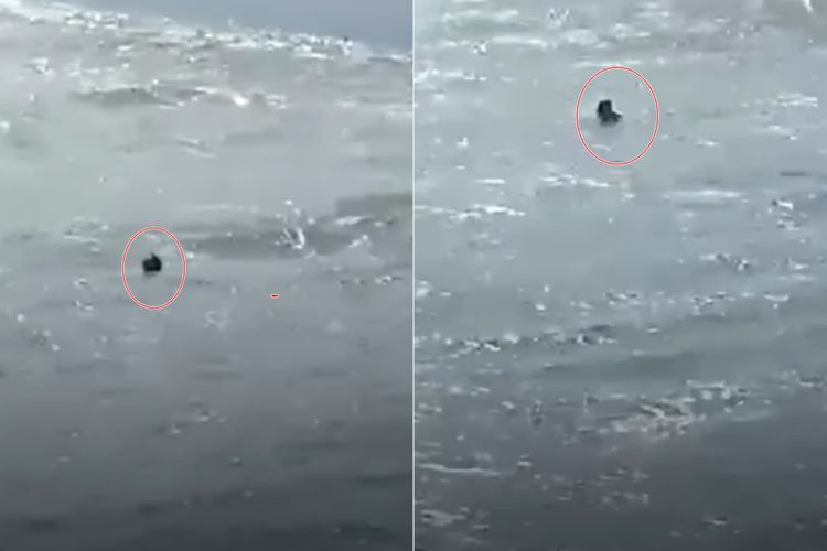 Pria di Muara Sungai Opak Bantul Diduga Sengaja Tenggelamkan Diri saat Memancing