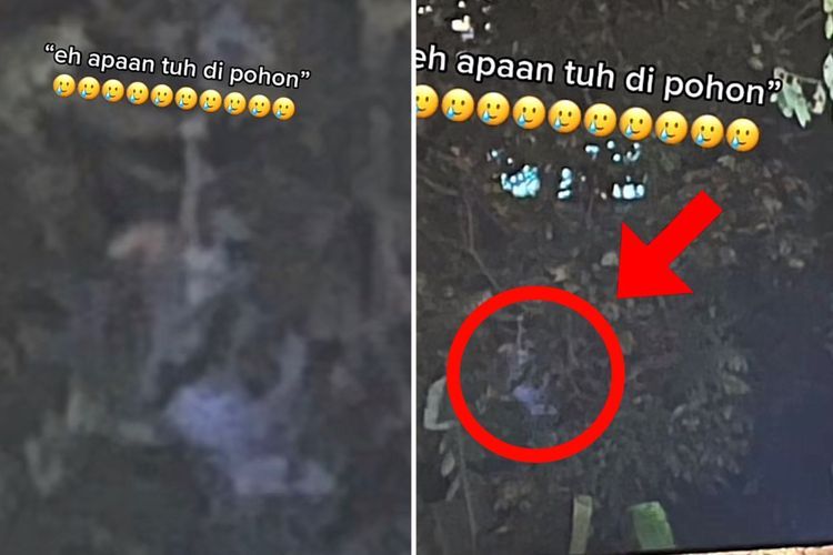 Serem! Lagi Seru Bakar-bakaran di Villa, Malah Ada yang Mau Ikutan Gabung