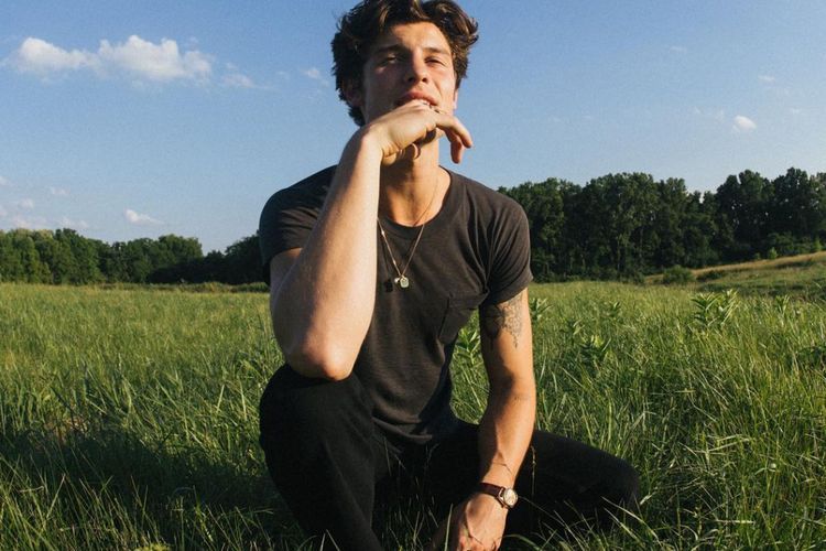 Pasca Batalkan Tur Dunia, Shawn Mendes: Saya Menyembuhkan Mental dan Lebih Santai