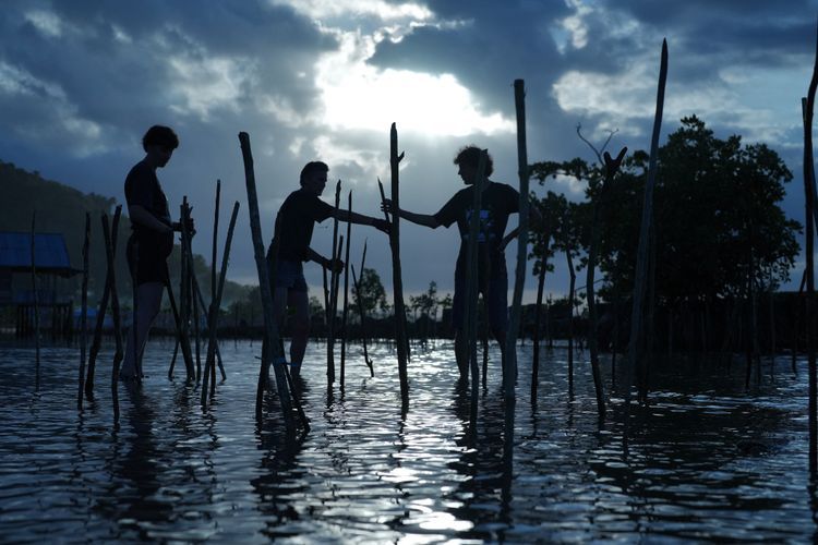 Keren! Jadi Surganya Wisatawan, Belitung Bakal Jadi Destinasi Wisata Mangrove Dunia