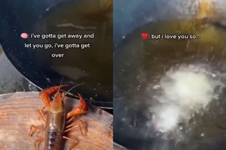 Detik-Detik Lobster Berjalan ke Wajan Berisi Minyak Panas, Tragis tapi Lawak