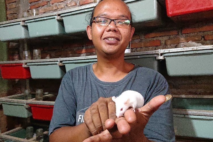 Bisnis Cepat Cuan! Tukang Parkir di Solo Kaya Raya Usai Ternak Tikus, Pembelinya Siapa?