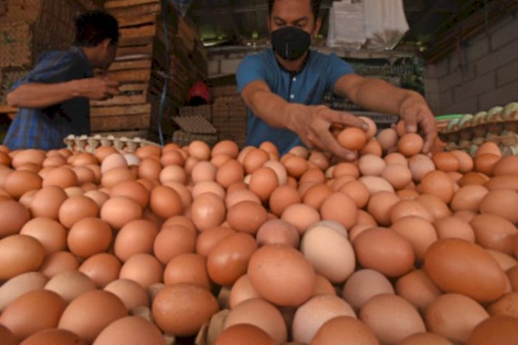 Harga Telur di Jakarta Naik! Anak Buah Anies Beberkan Penyebabnya