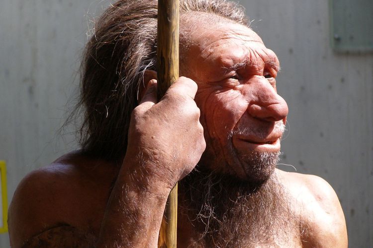 Kawin Silang dengan Neanderthal, Ada Manusia Modern yang Wajahnya Tampak Aneh