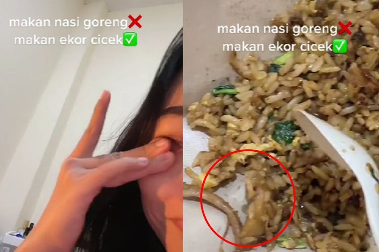 Duh, Cewek Ini sampai Nangis saat Temukan Ekor Cicak dalam Nasi Goreng: Trauma Banget!