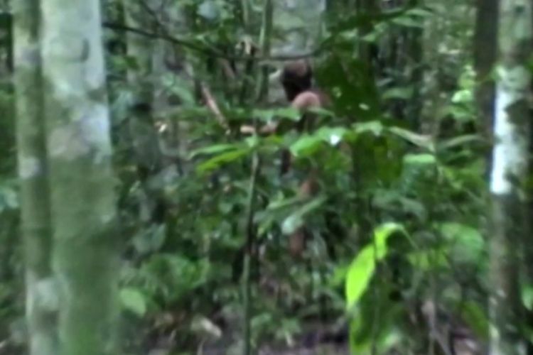 26 Tahun Hidup Sendiri, Anggota Terakhir Suku Amazon Ditemukan Tewas di Ayunan Gantung