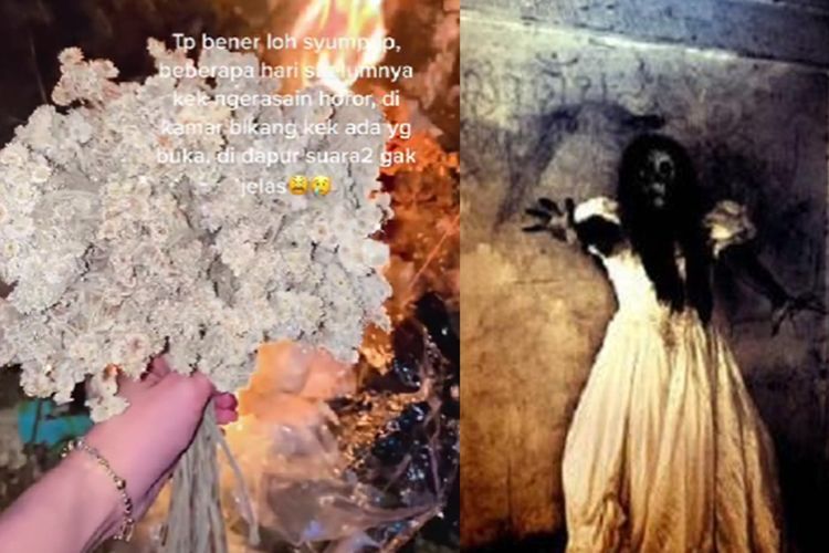 Cerita Horor Gadis yang Suka Koleksi Buket Bunga Kering, Gelisah Diteror Suara Kuntilanak