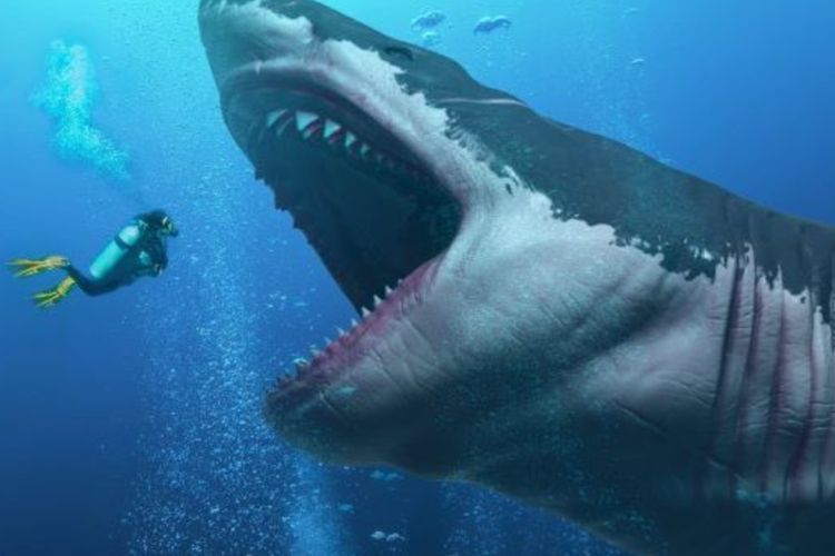 Ilmuwan Kena Zonk! Sempat Dikira Hiu Megalodon, Penampakan Ikan Raksasa Ini Ternyata Cuma?