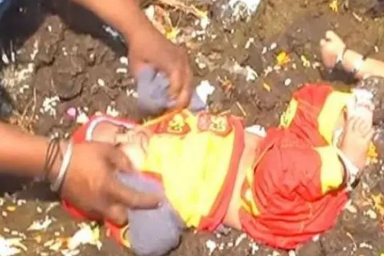 Bayi di India Bakal Dilempari Kotoran Sapi Biar Beruntung, Katanya Ritual setelah Diwali