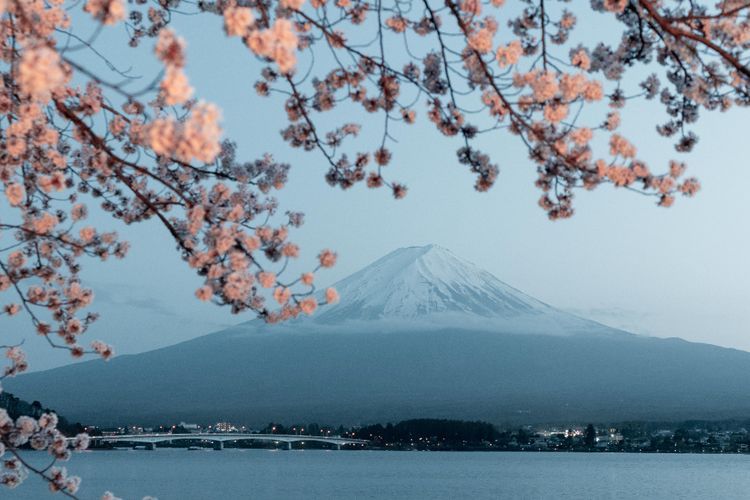 Asik! Mulai 11 Oktober Jepang Izinkan Wisatawan Masuk Bebas Visa