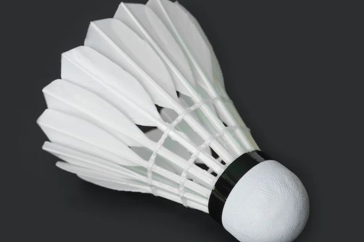Daftar Pebulutangkis Indonesia untuk Vietnam Open 2022, Ada Pasangan Ganda Putri Baru