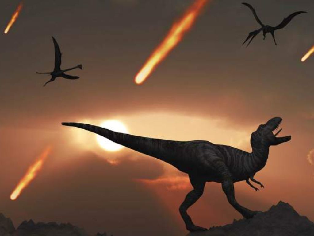 Punahnya Dinosaurus Ternyata Berdampak Pada Evolusi Hiu Loh! Simak Penjelasannya Berikut Ini