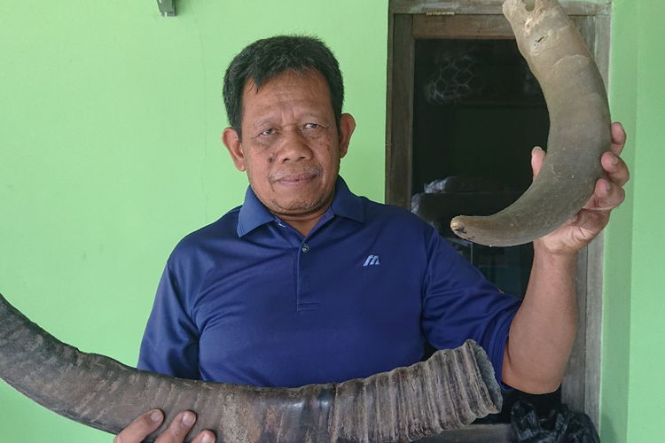 Sulap Tanduk Kerbau Jadi Souvenir, Produknya Laris Sampai ke Jepang