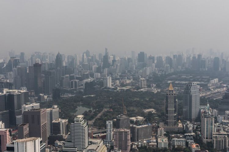 4,1 Persen Kematian Dunia Disebabkan Polusi, Berada di Dalam Ruangan Pun Belum Tentu Aman