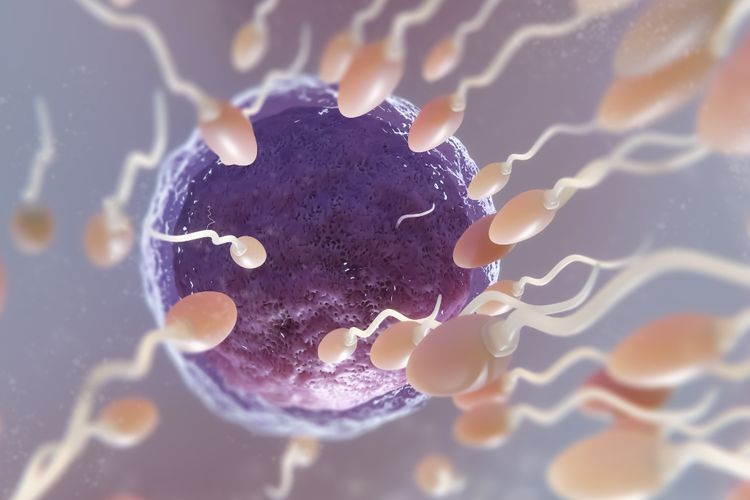 Sperma Berwarna Kuning? Ini Penyebab dan Cara Mengobatinya
