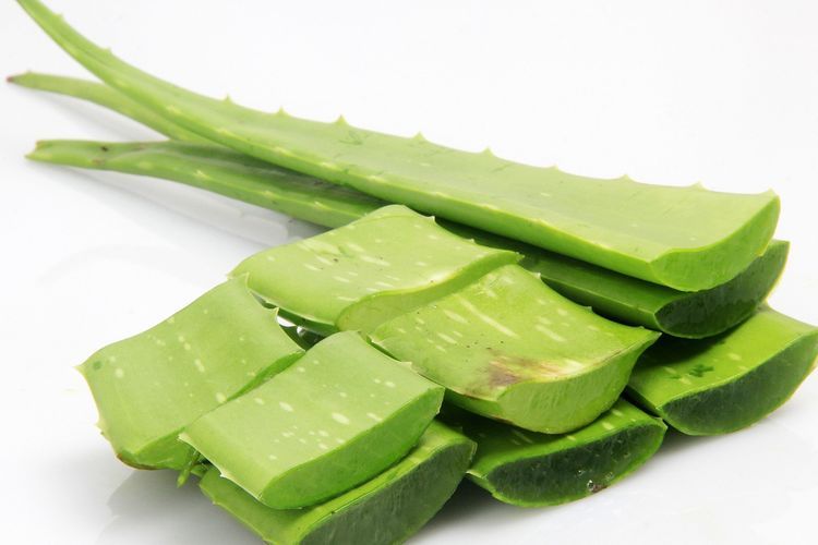 6 Manfaat Lidah Buaya untuk Rambut, Begini Cara Memakainya!