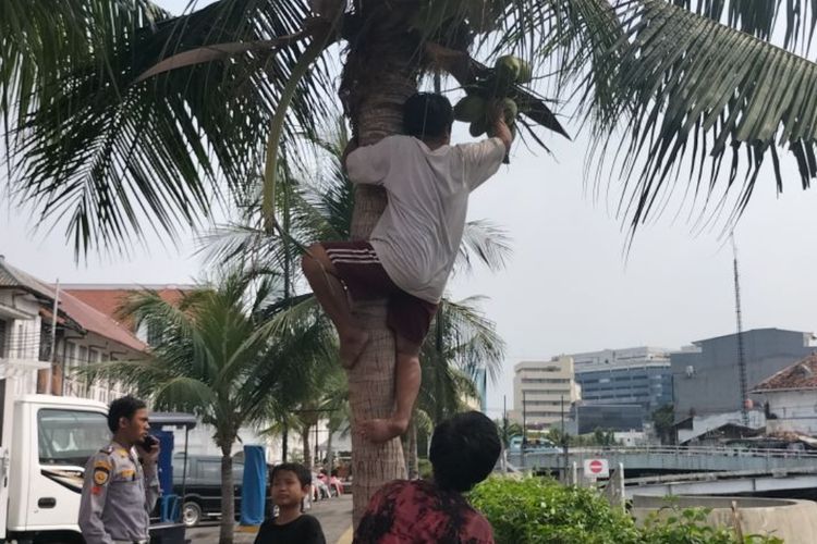 Perjuangan Bocah Pemulung Cita-cita Jadi Tentara, Kumpulkan Botol Plastik Demi Sekolah 