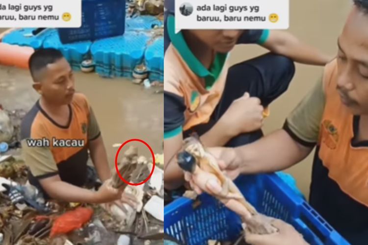 Viral Video Penemuan Benda Diduga Alat Santet, Sepasang Boneka Dibungkus Kain Mirip Pocong