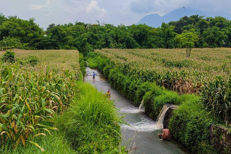 Seru Abis! Mojokerto Punya 'Prosotan' Panjangnya 200 Meter, Mandi di Sini Berasa Nostalgia