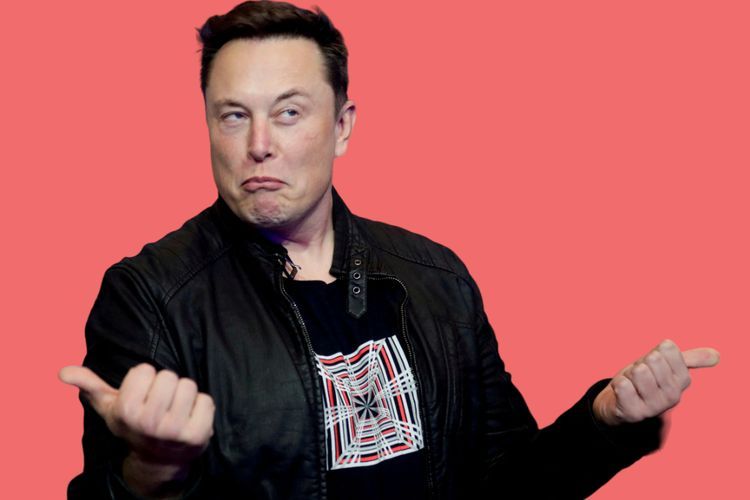 Orang Terkaya di Dunia Elon Musk Batal Datang ke Bali, Luhut Ungkap Penyebabnya