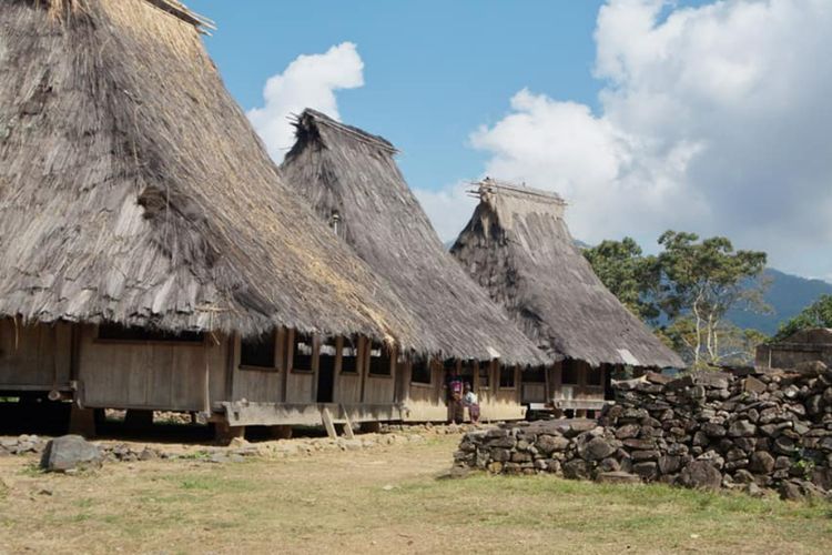 Kisah di Balik Rumah Adat Wologai di NTT, Dibangun Pakai Kayu Nebangnya Harus Jam 12 Malam