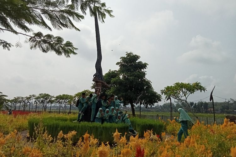  Nangkula Park, Ikon Baru Wisata Alam di Tulungagung yang Bertabur Bunga Celosia