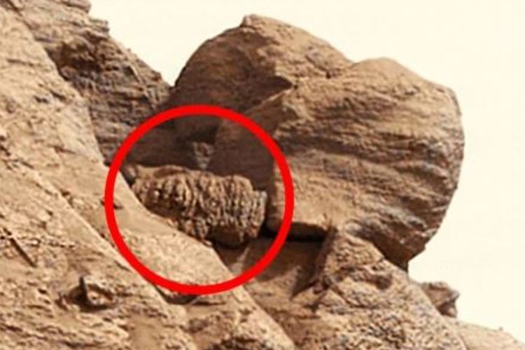 Ahli Teori Konspirasi Klaim Temukan Alien di Mars, Padahal Cuma Batu Doang!