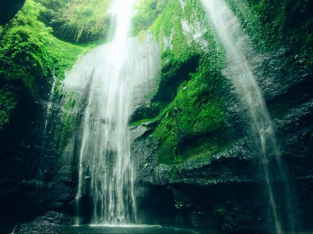 Pemandangan Air Terjun Ini Gila Banget! Letaknya di Daerah Probolinggo Jawa Timur