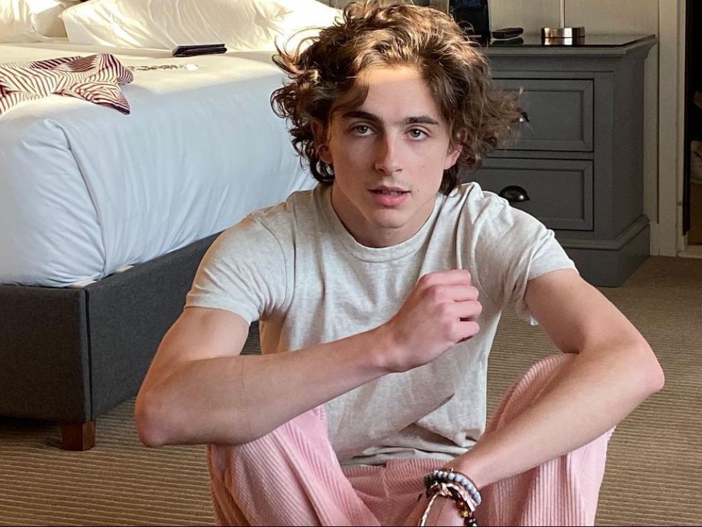 Nyesel, Timothee Chalamet Ngadu ke Greta Gerwig Karena Gak Bisa Tampil di Film 'Barbie'