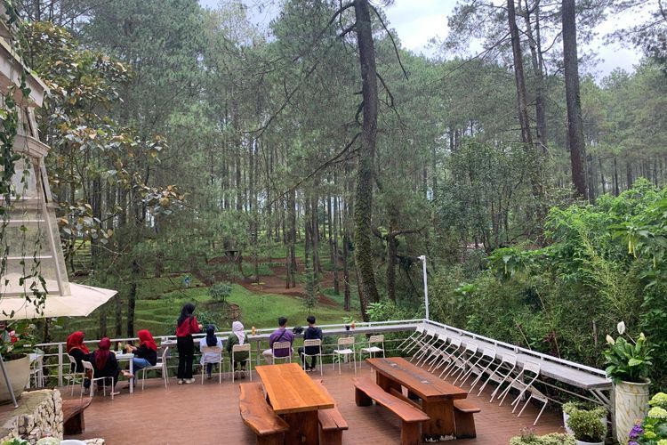 Rekomendasi Ngopi di Tengah Hutan Pinus Lembang, Udaranya Sejuk Tempatnya Instagramable!