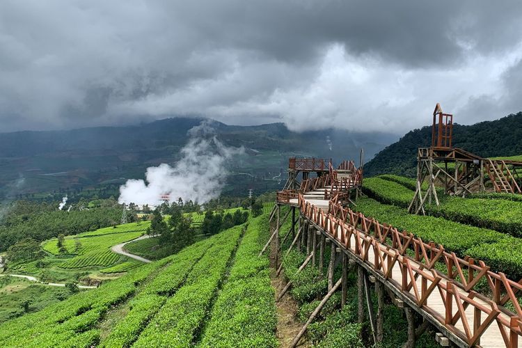 Healing di Kebun Teh Wayang Windu Panenjoan, Menikmati Suasana Bandung yang Sejuk 