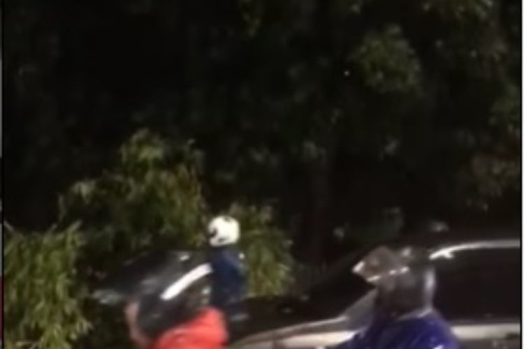 Imbas Hujan Deras, Pohon Tumbang Timpa Mobil dan Motor di Lenteng Agung Jaksel
