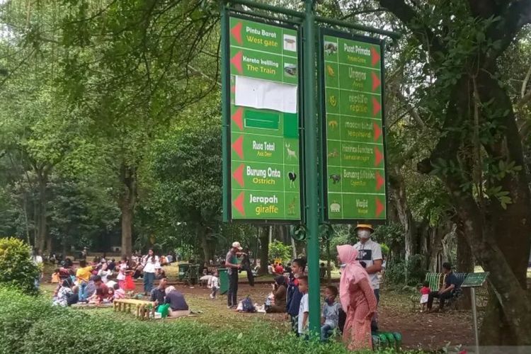 Asyik, Kebun Binatang Ragunan Tambah Fasilitas Perpustakaan Daring