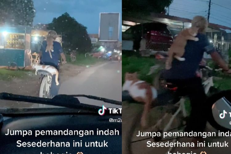 Gemes! Kakek Bonceng 2 Ekor Kucing Naik Sepeda, Ada yang Ateng di Jok dan Pegangan ke Bahu