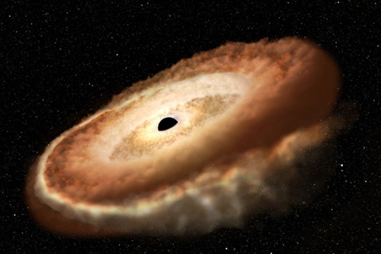 Teleskop NASA Temukan Black Hole yang Bentuknya Mirip Donat, Ternyata Peristiwa Unik