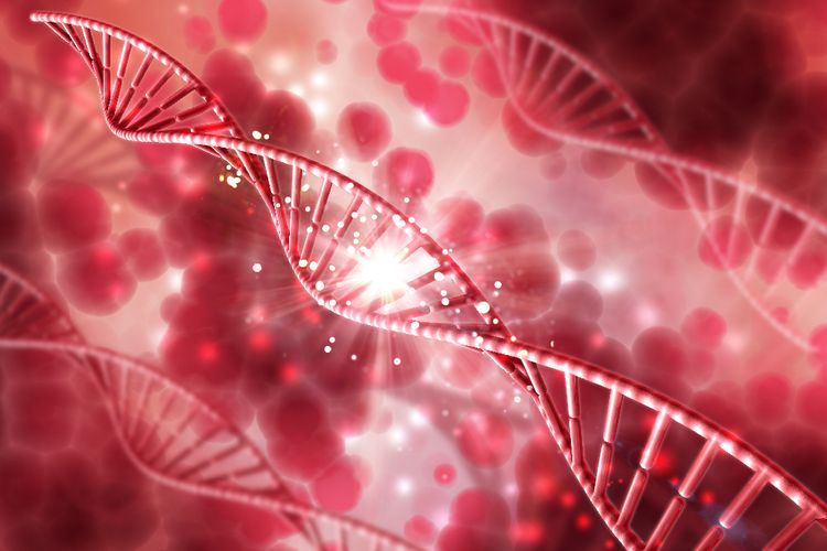 Mengenal Pengobatan Stem Cell yang Masih Kontroversi di Indonesia
