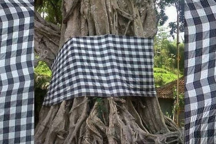 Alasan Pepohonan di Bali Diikat Kain Hitam Putih, Ternyata Bukan Buat Hiasan
