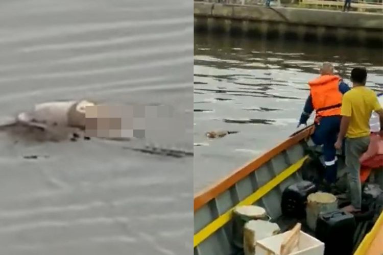Hilang 2 Hari, Jasad Balita Utuh Diantar Buaya ke Tepi Sungai, Gak Ada Bekas Gigitan