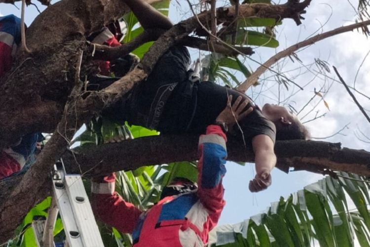 Bikin Geleng-geleng, Pemuda Ini Tidur di Atas Pohon Efek Miras-Sabu
